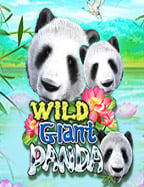 สนุกกับสล็อต xo โหลดสล็อต ฝาก ถอน ผ่าน true wallet ได้ง่ายๆ